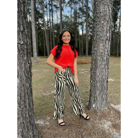 Chenille Short Sleeve Sweater